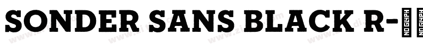 Sonder Sans Black R字体转换